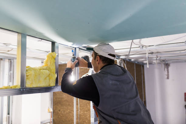 Best Specialized Insulation Services in Mounds View, MN