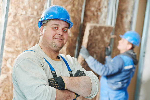 Best Insulation Maintenance and Repair in Mounds View, MN