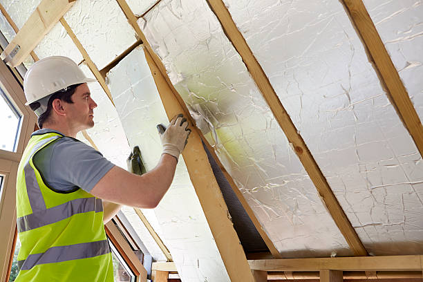 Best DIY Insulation Kits and Guidance in Mounds View, MN